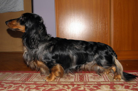 Narsil